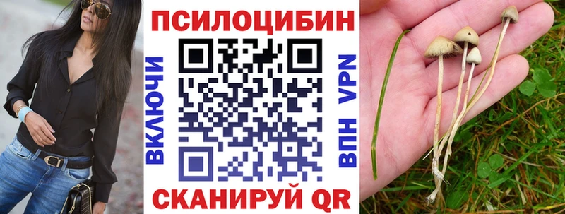Псилоцибиновые грибы мухоморы  купить наркоту  блэк спрут зеркало  Венёв 